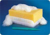 E-Z Scrub Dry Surgical Scrub Brush, Green 58371603
