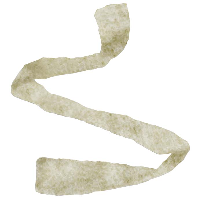 Algicell Silver Alginate Wound Dressing Rope, 3/4" x 12" DE88512